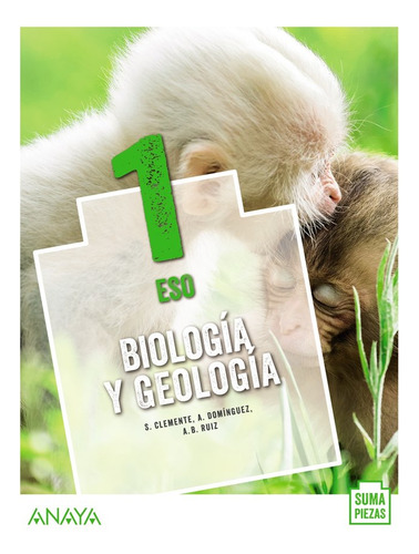 Libro Biologia Geologia 1âºeso Andalucia 20 Suma Piezas -...