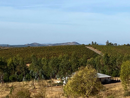 Cauquenes Excelente Inversión Parcelas (53492)