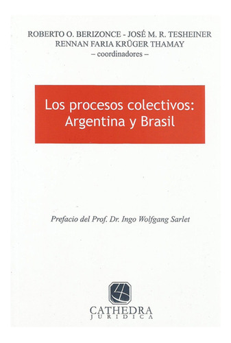 Los Procesos Colectivos: Argentina Y Brasil - Berizonce, Tes