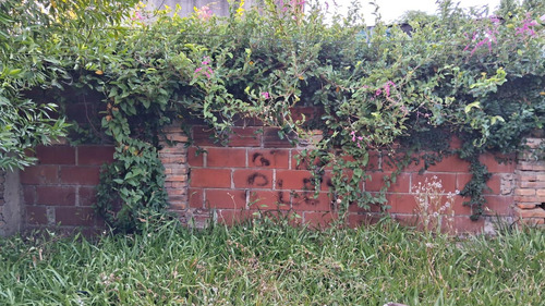 Casa En Concordia