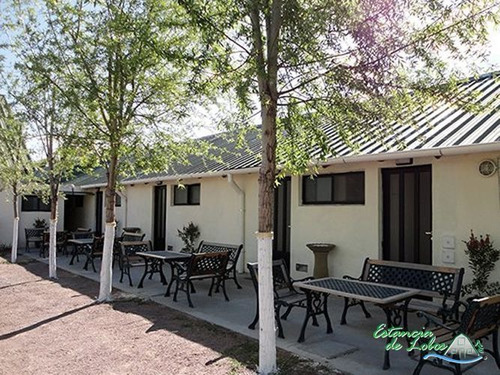 Imagen 7 de 17 de Negocio En Venta En Lobos