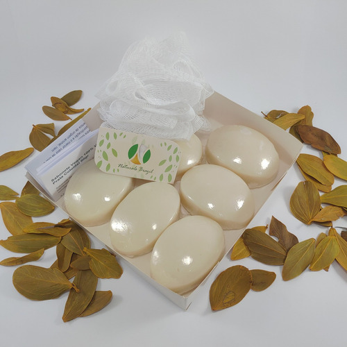 Ultra Kit Prata Coloidal Verdadeira Naturals Brazil S/juros