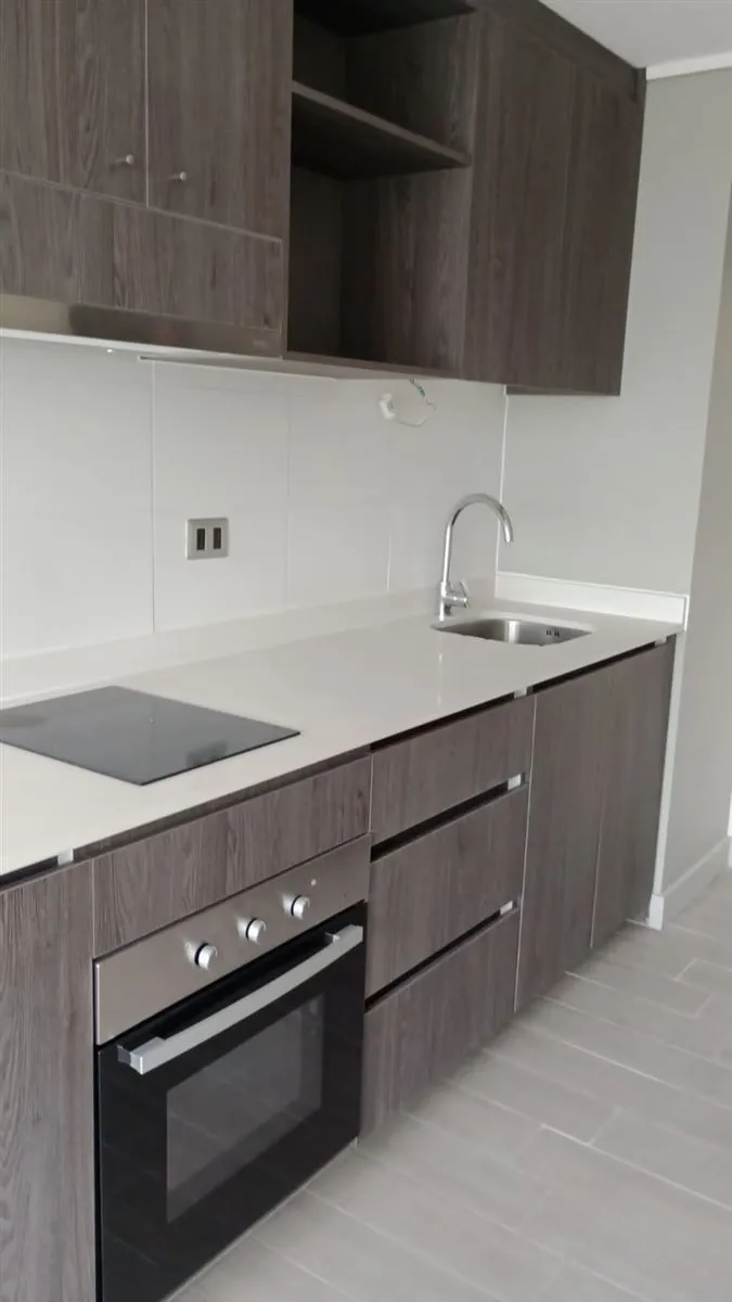 Imagen 2 de 30 de Departamento En Arriendo De 1 Dorm. En Santiago
