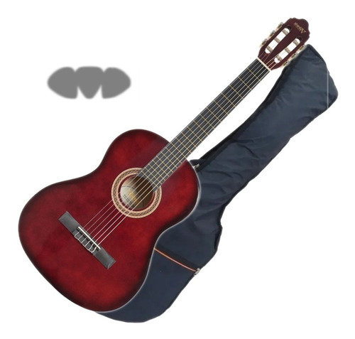 Guitarra Clasica Valencia Vc104 + Funda Y 3 Puas! Oferta!!!