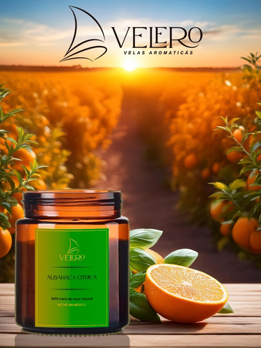 Vela Aromática Premium De Tres Mechas 410g Ámbar Lisa Albahaca Citrica