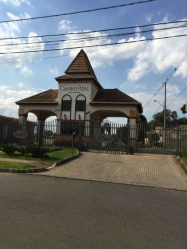 Imagem 3 de 30 de Excelente Terreno São Braz - Te-0448 - 3295582