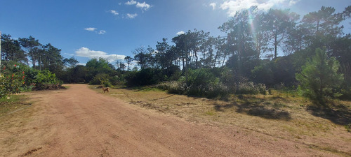 Imagen 20 de 28 de Vendo 1 O 2 Lotes De 584 M2 En Punta Del Diablo