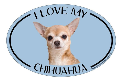 Imaginar Este Iman Ovalado, I Love My Chihuahua