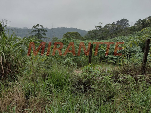 Imagem 3 de 5 de Terreno Em Serra Da Cantareira - São Paulo, Sp - 371762