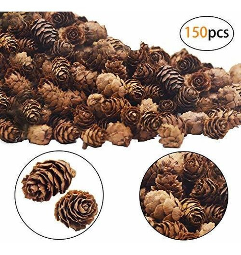 Deloky 150 Piezas Mini Conos De Pino Natural Navideño: Ador