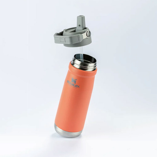Garrafa Térmica Stanley Flip Straw Guava 651ml