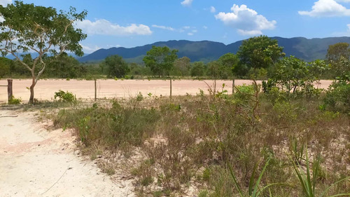 Área Chácara Cavalcante-go 1 Hectares