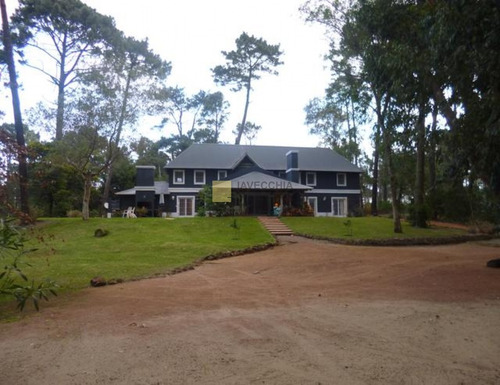 Imagen 4 de 30 de Venta De Casa De 4 Dormitorios En Pinares