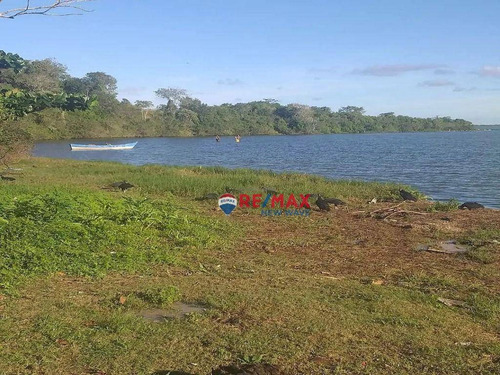 Imagem 9 de 9 de Terreno Multifamiliar Frente A Lagoa - Te0014