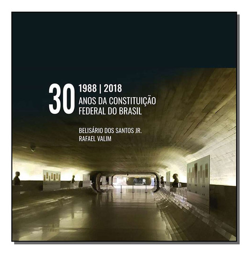Libro 30 Anos Da Constituicao Federal Do Brasil 01ed 18 De S