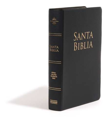 Biblia Rvr1960 Tamaño Manual Letra Grande Negro Vinil