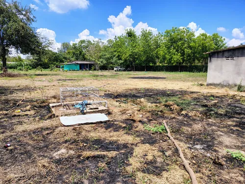 Lote De 5000m2 Santo Tomas (cm&d142).