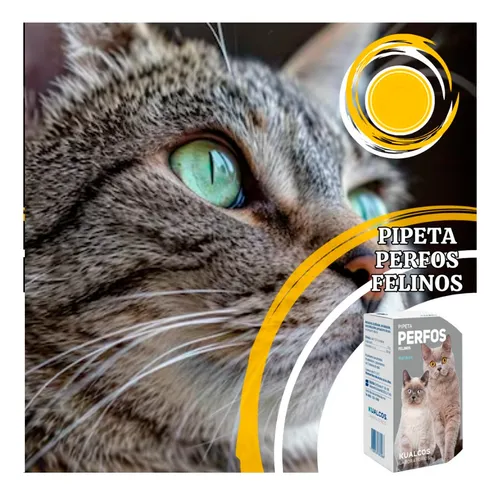 Pipeta Multidosis Perfos Gatos Pulguicida Kualcos