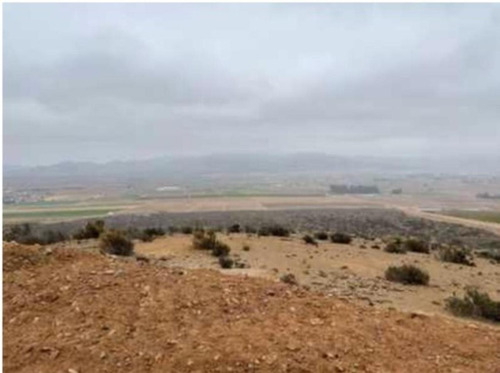 Terreno Agricola Ganadero 1.368 Has, Pan De Azúcar, Coquimbo
