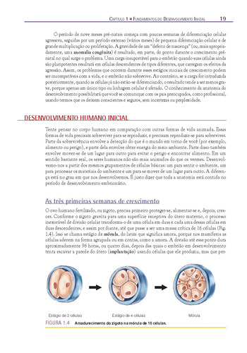 Fundamentos em Anatomia, de Hartwig, Walter C.. Editorial ARTMED EDITORA LTDA.,Lippincott Williams & Wilkins/Wolters Kluwer Health Inc., capa dura em português, 2008
