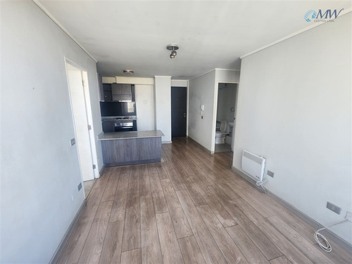 Departamento En Venta 2d 2b Metro Carlos Valdovino