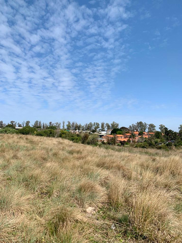 En Venta Chacra En Salto. Ruta 3 ¡atención Inversores Y Empresarios!