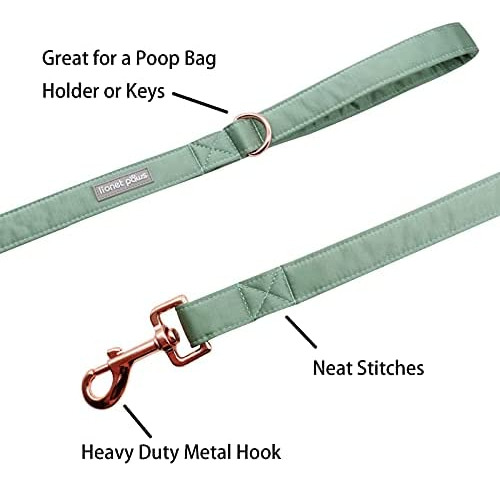 Lionet Paws Juego De Collar Y Correa De Seda Para Perro, Col