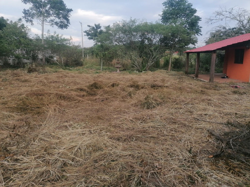 Vendo Terrenos En Berriozábal Información 9612772498