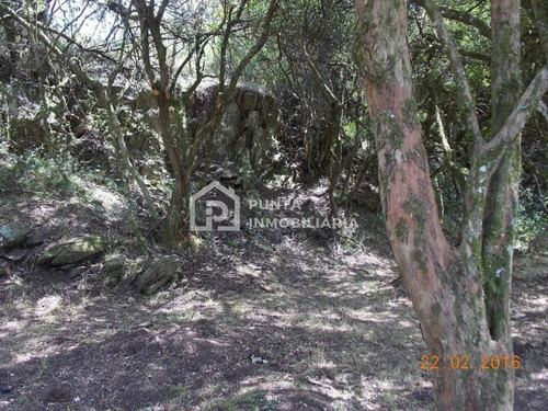 Imagen 9 de 30 de Venta Chacra 96has En Minas, Lavalleja