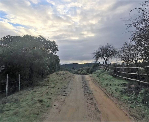 Cauquenes Viñas Y Forestal, 2 Tranques (70047)