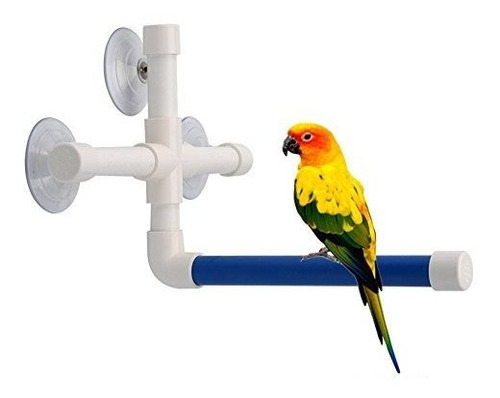 Bird Parrot Stand Perch Baño Y Ducha Perca De Pie Juguete Po