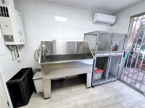 Clínica Veterinaria En Arriendo, En San Bernardo
