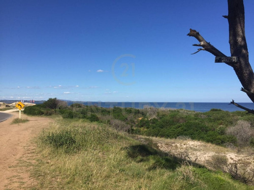 Imagen 7 de 10 de Oportunidad De Terreno Frente Al Mar En Parque Del Plata Sur