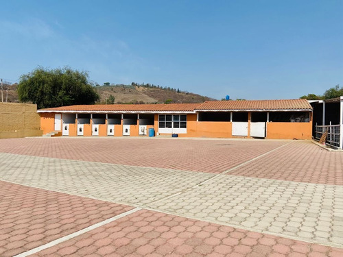 Imagen 4 de 26 de Oportunidad Excelente Rancho En Tlajomulco