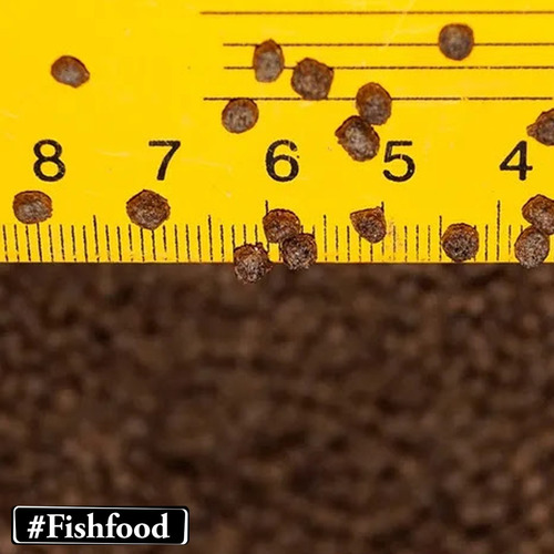 Imagem 3 de 6 de Ração Tr36% - 3 A 4mm Peixe Tilápia Nutripiscis Presence 1kg