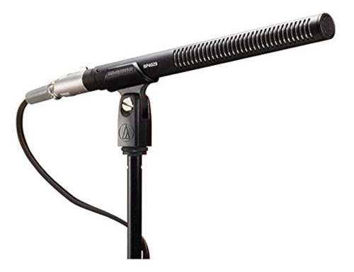 Sistema De Microfono Inalambrico Audio-technica (bp4029)