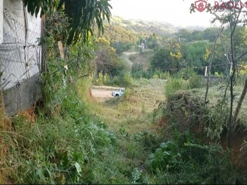 Imagem 2 de 7 de Terreno - Te00449