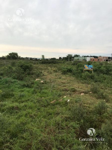 Imagen 3 de 4 de Venta Terreno (nuevo Precio)