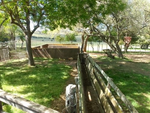 Imagen 9 de 10 de 353 Hectáreas En Lavalleja, Con Casa, Galpón Y Arroyo