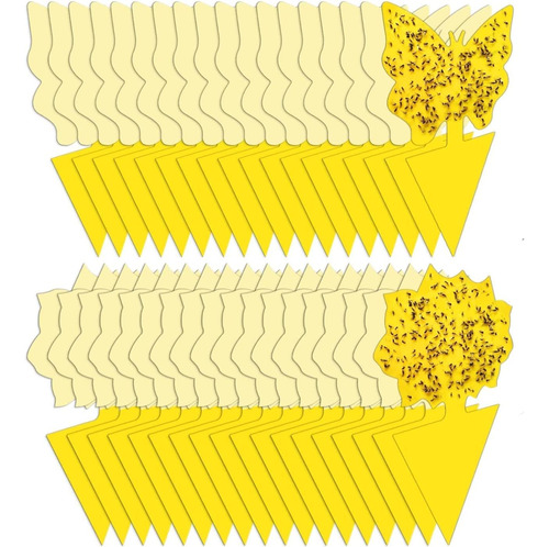 Stingmon Paquete De 36 Trampas Para Moscas De Frutas Para In