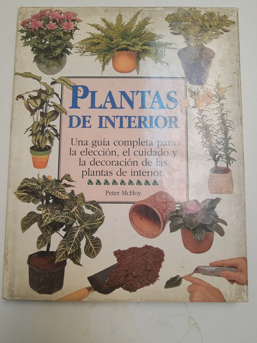 Plantas De Interior - Una Guia Completa - L413