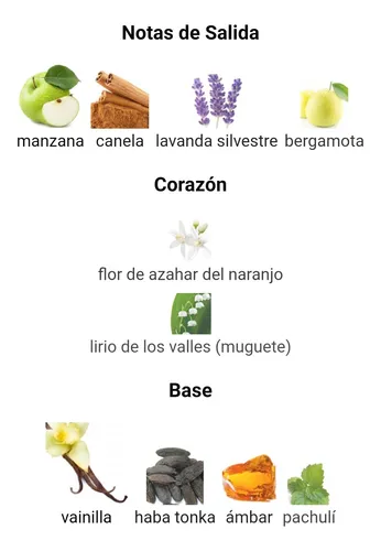 Perfume Afnan 9pm Hombre