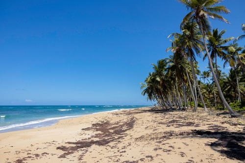 Terrenos Vista Al Mar A 10 Minutos De La Playa En Lagunas De Nisibón, Punta Cana, Ideal Para Inversión
