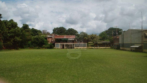 Imagem 1 de 8 de Chácara Com 3 Dormitórios À Venda, 6000 M² Por R$ 980.000,00 - Conjunto Vivi Xavier - Londrina/pr - Ch0040