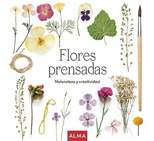 Flores Prensadas Col Hobbies  - Happy Green Family