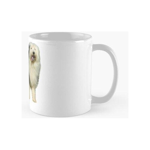 Taza My Pet's The Best - For Bobtail Fans Calidad Premium