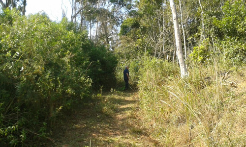 Área Com 60.000 M² Ideal Para Montar Chácara Ou Sítio De Lazer