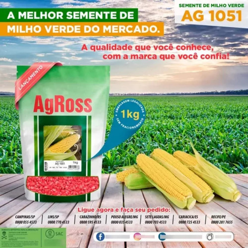 Semente Milho Doce 1051 Agroceres 1kg Alta Qualidade