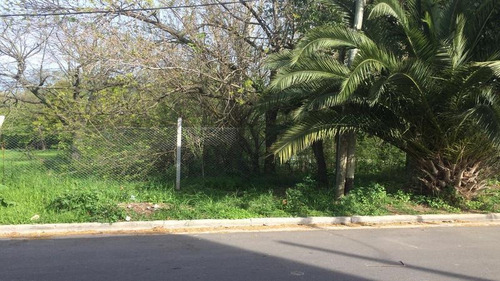 Imagen 1 de 5 de Villa Argentina! Lote N°22
