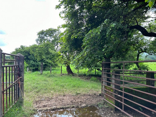 Impresionante Rancho En Manuel Avila Camacho - Tonalá